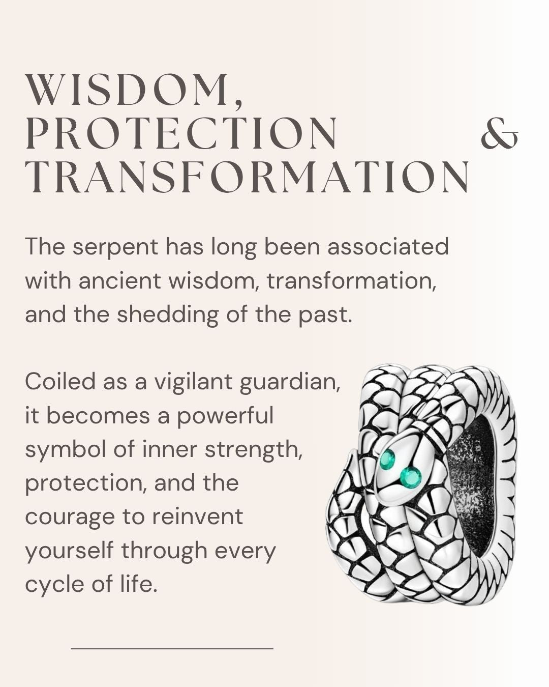 Serpent Guardian Charm