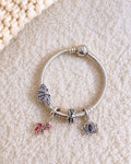 Transformation Bracelet Set