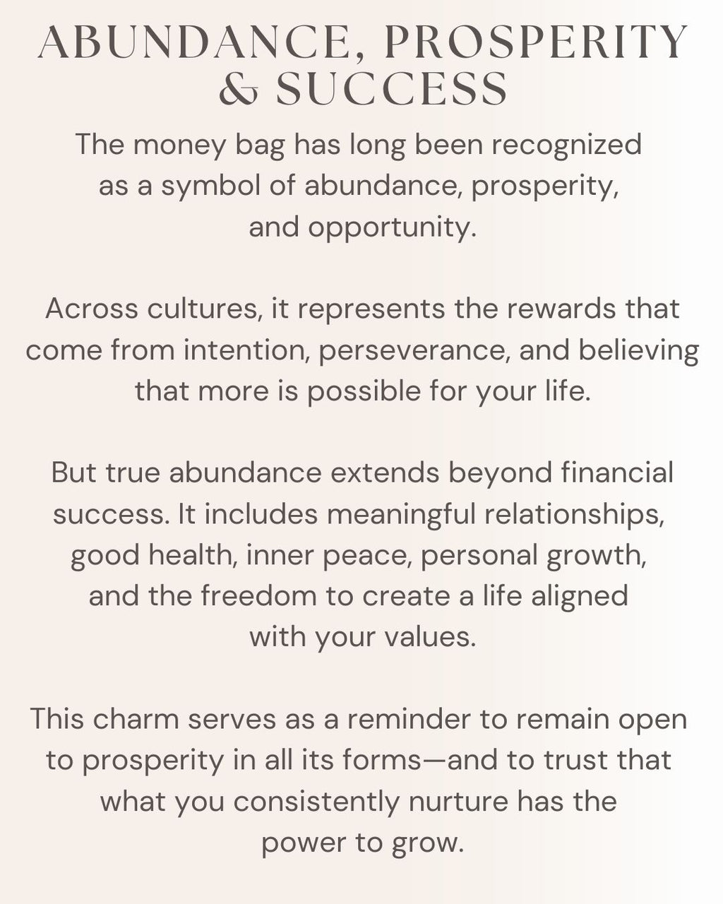 Wealth Manifestation Charm