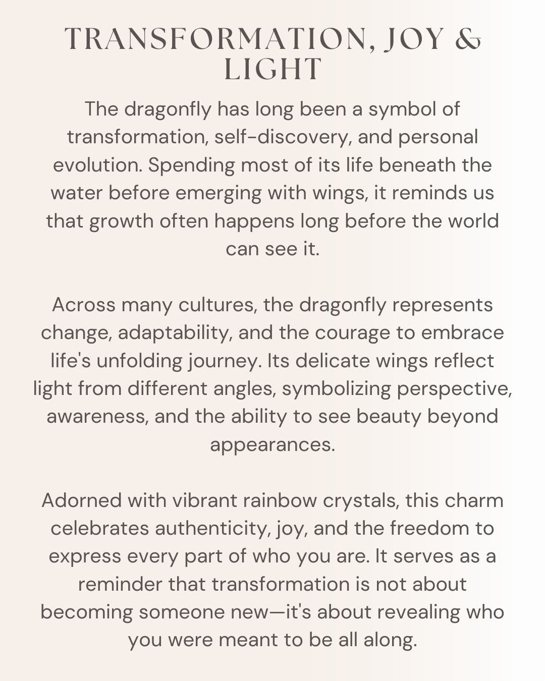 Rainbow Dragonfly Charm