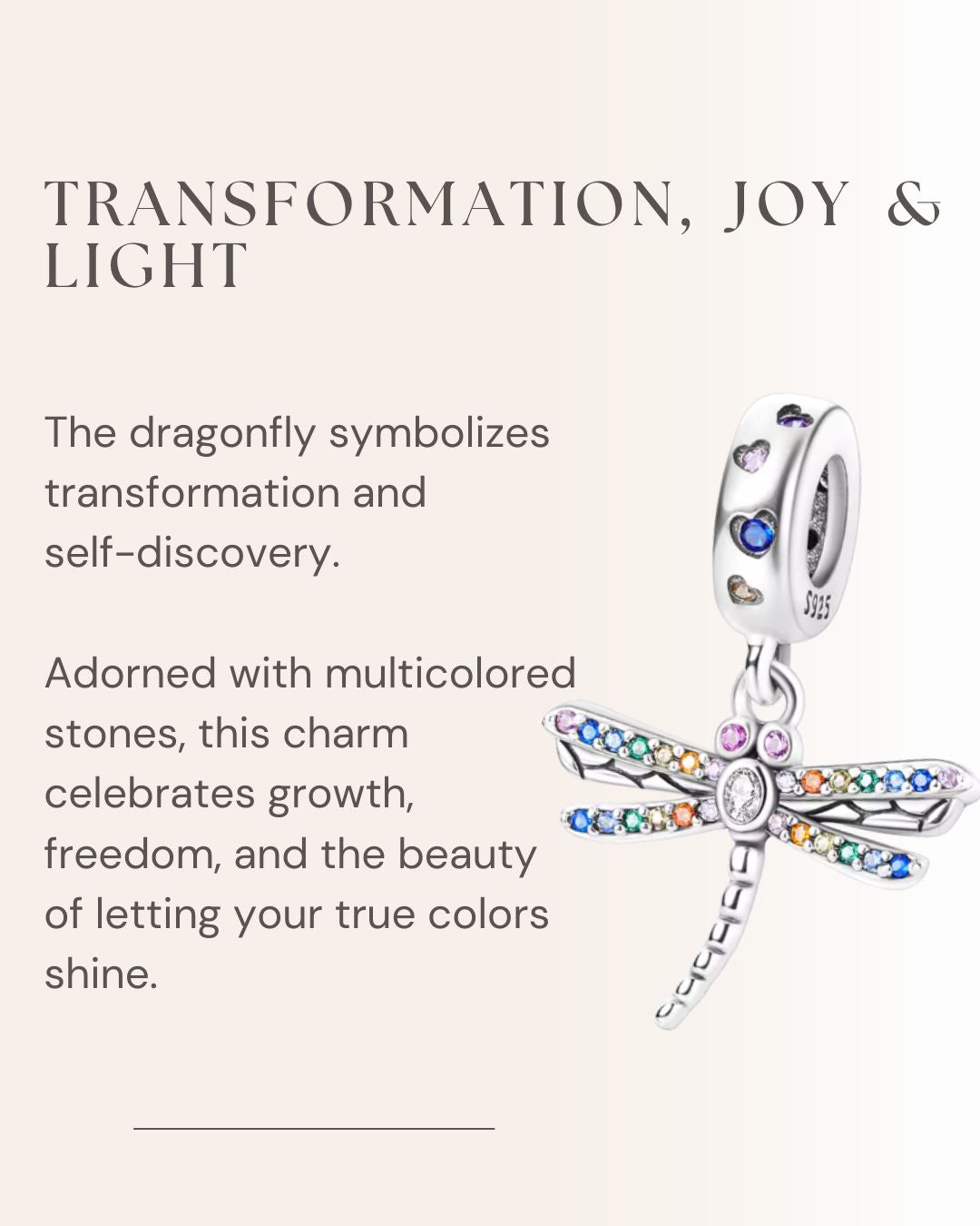 Rainbow Dragonfly Charm